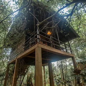 On The Tree Eco Sigiriya Hotel