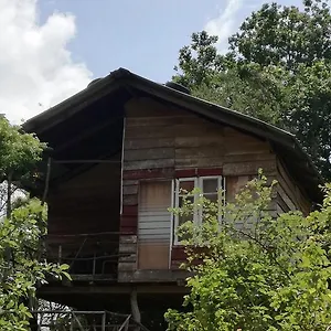 Sigiri Forest View Resort