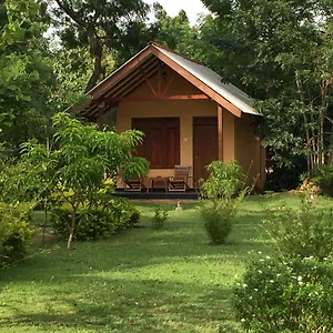 Liyon Rest Pensión
